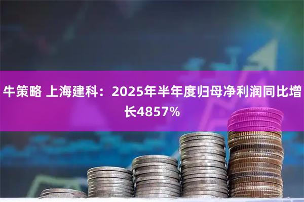 牛策略 上海建科：2025年半年度归母净利润同比增长4857%