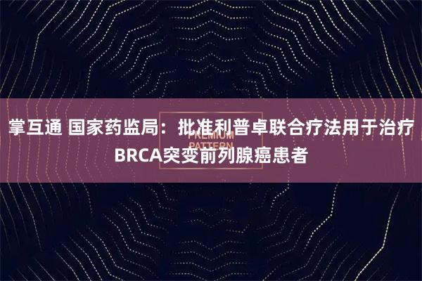 掌互通 国家药监局：批准利普卓联合疗法用于治疗BRCA突变前列腺癌患者