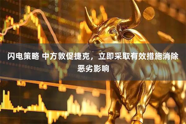 闪电策略 中方敦促捷克，立即采取有效措施消除恶劣影响