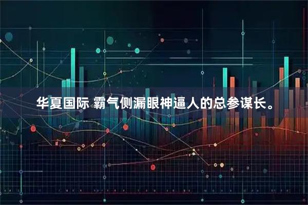 华夏国际 霸气侧漏眼神逼人的总参谋长。